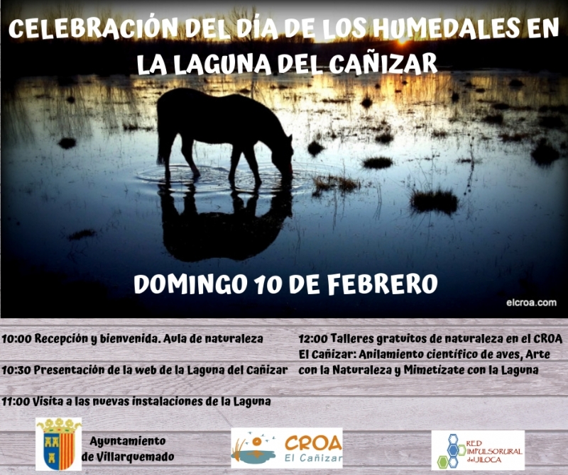 Domingo 10 de febrero de 2019. Celebración del día de los humedales en la laguna del Cañizar
